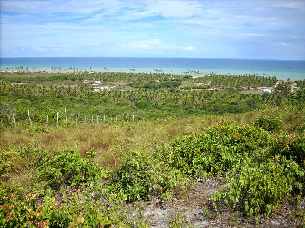 Capa do artigo Litoral Norte da Bahia: Perspectivas e Oportunidades.