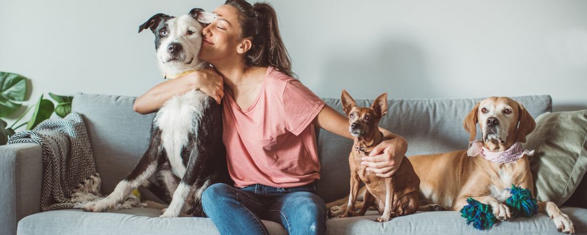 Capa do artigo O Locador Pode Proibir Pets no Contrato de Locação?