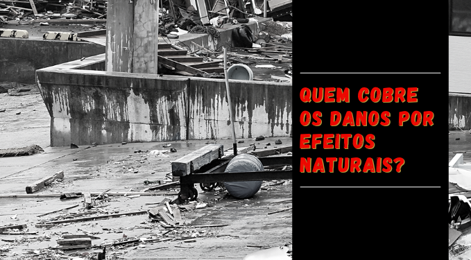 Capa do artigo 'Quem Cobre Os Danos Por Efeitos Naturais?' na categoria Outras