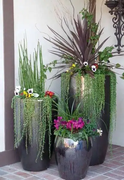 imagem de decoração