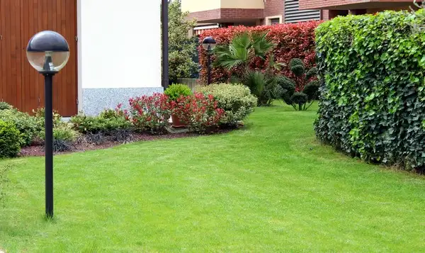 imagem de decoração