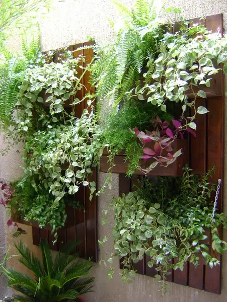 imagem de decoração