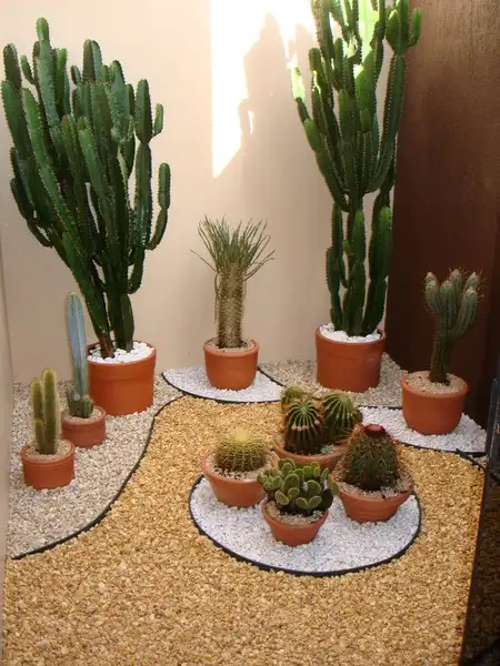imagem de decoração
