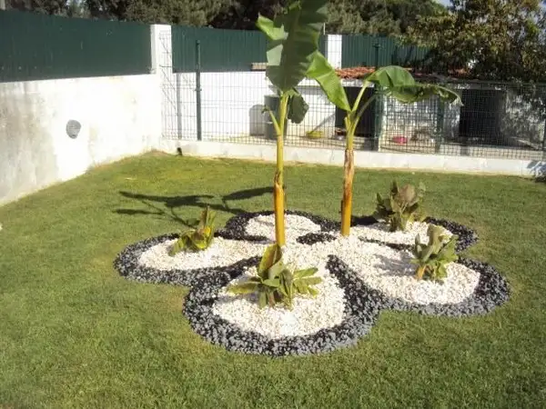 imagem de decoração