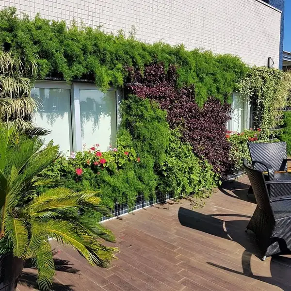 imagem de decoração