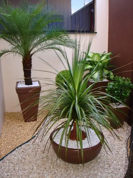 imagem de decoração