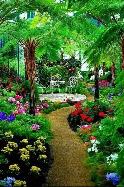 imagem de decoração