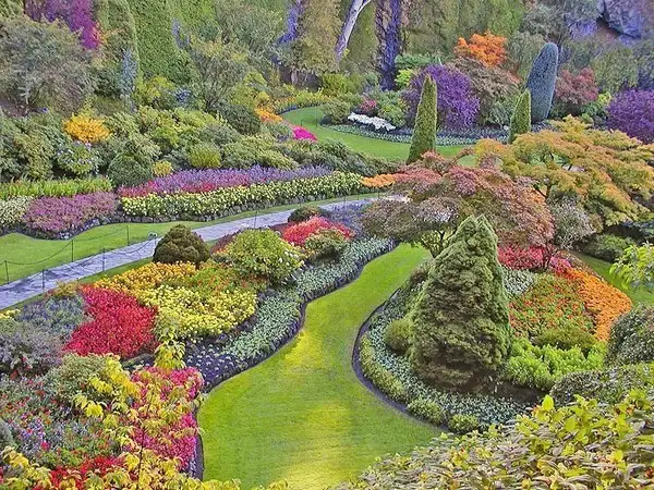 imagem de decoração