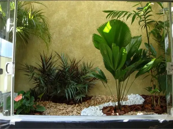 imagem de decoração