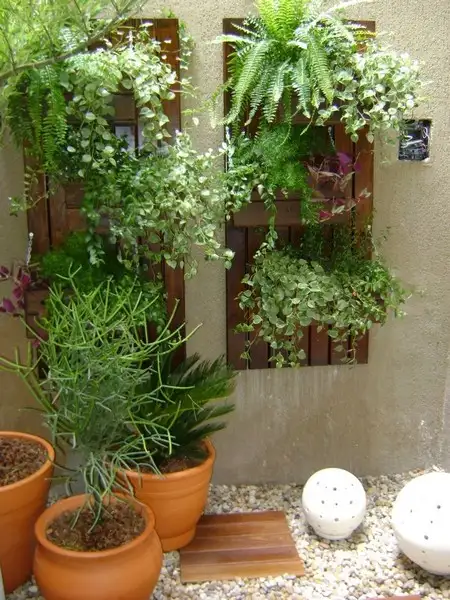 imagem de decoração