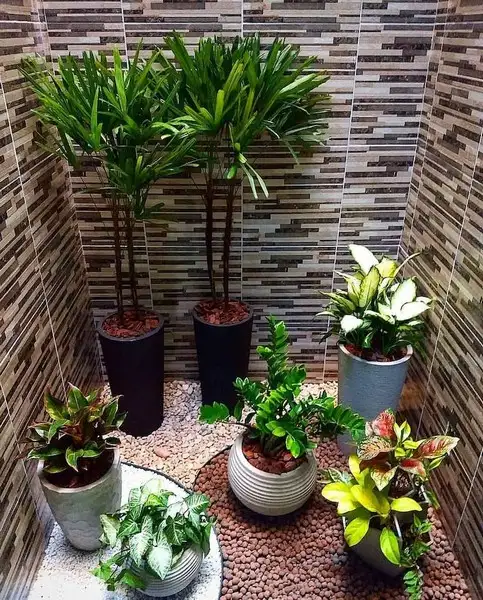 imagem de decoração