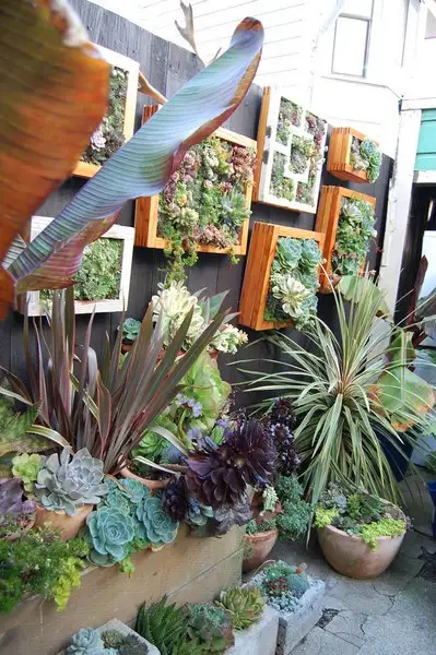 imagem de decoração