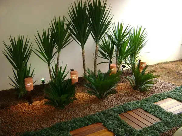 imagem de decoração