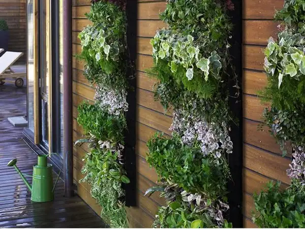 imagem de decoração