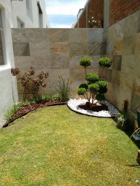 imagem de decoração