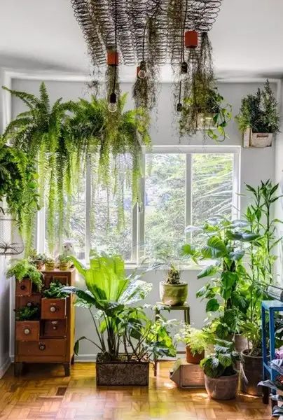 imagem de decoração