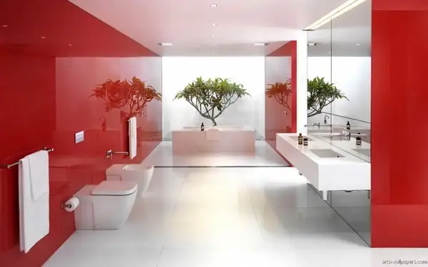 imagem de decoração