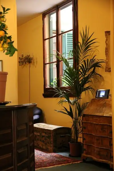 imagem de decoração