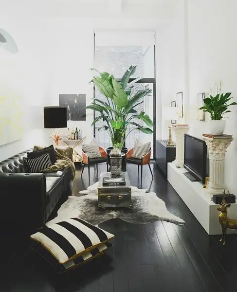 imagem de decoração