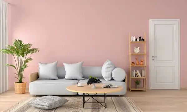 imagem de decoração