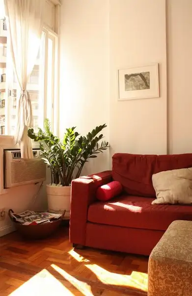imagem de decoração