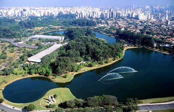 Imagem de capa