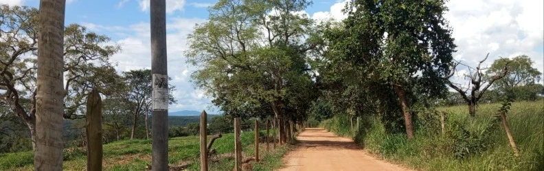 Capa do perfil de Antônio Lara