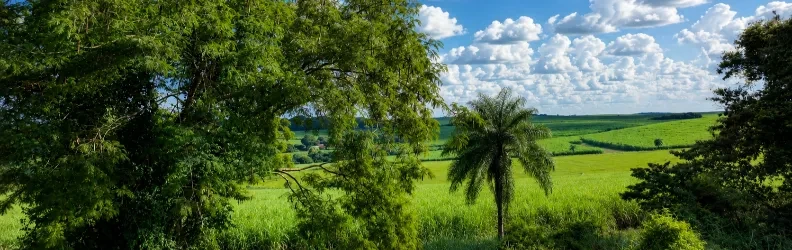 Capa do perfil de Térrea Imobiliária Rural