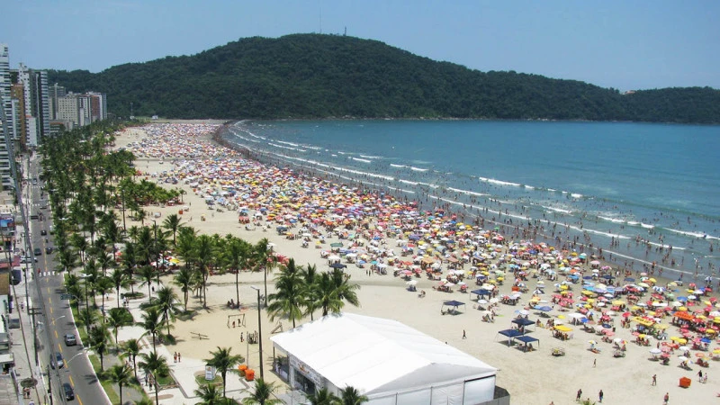 Imagem de capa