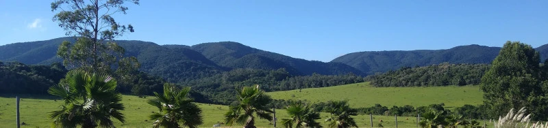 Imagem de capa
