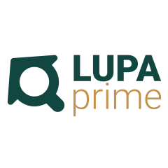 Lupa Prime Imobiliária Vila Maria